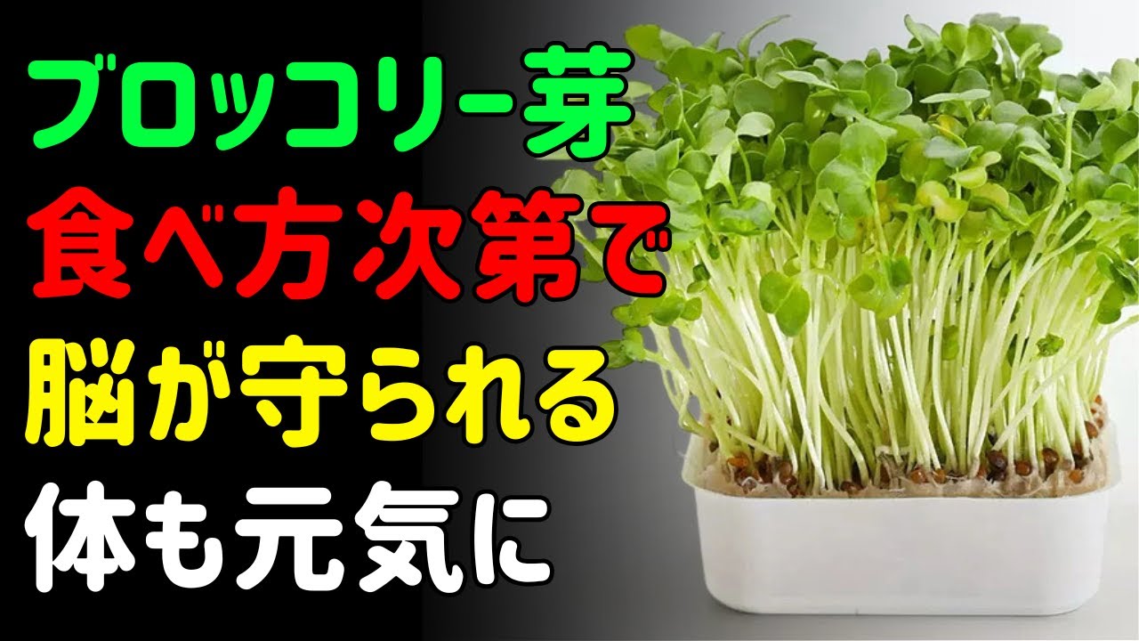 生だけじゃない？ブロッコリースプラウトの栄養を活かす食べ方｜食事から始めるデトックス習慣
