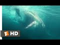 The Meg 2018 Man Vs Shark Scene 4 10 Movieclips