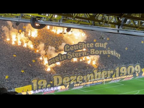 #choreo #pyro - Leuchte auf mein Stern BVB Choreography - 19.12.23 - BVB vs Mainz 05 #bvb #bvb09