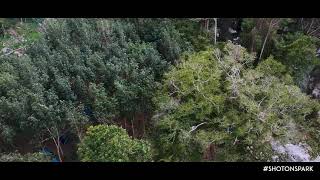 Download lagu POS LENJANG | JAYA GUNUNG HOMESTAY | Dji Spark #kualalipis #pahang #malaysia mp3 Download lagu POS LENJANG | JAYA GUNUNG HOMESTAY | Dji Spark #kualalipis #pahang #malaysia mp3