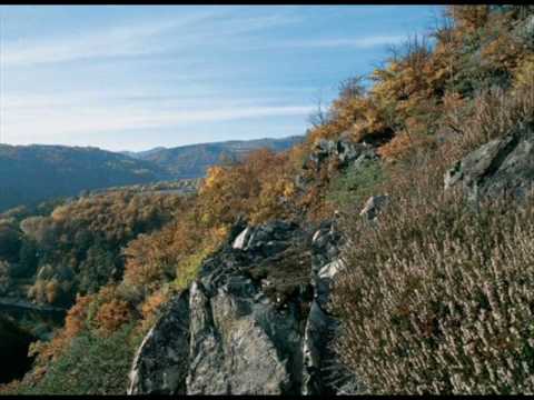 Ales Brichta - Ceska zem - Deratizer