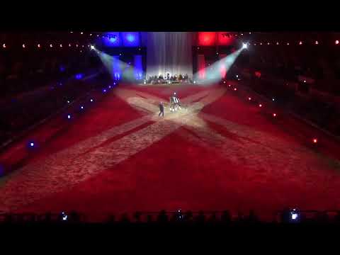 Dubruque Yoann - Cadre Noir de Saumur - Duel Toréador - Cavalier