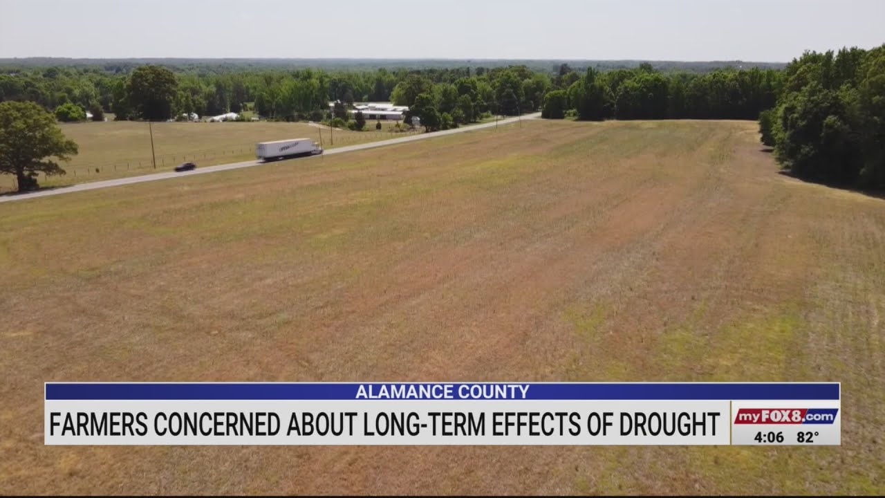 Alamance County farmers concerned about long-term effects of drought