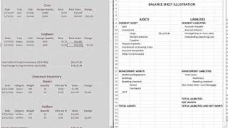 Crop and Livestock Inventories on the Balance Sheet