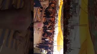preview picture of video 'Bahawalpur jaloos 2018 hussani chook imam barghah'