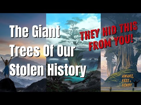 盗まれた歴史の巨木