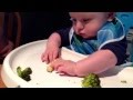 Baby Led Weaning Broccoli 2