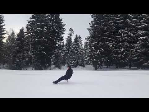 Ski Rodel Schlitten Design Rütti