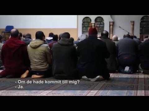 Molenbeek - terroristernas frizon i Europa