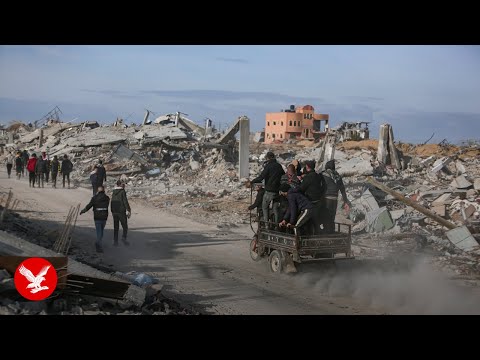 Live: View of Rafah as aid enters Gaza