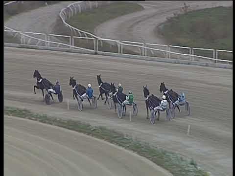 Trotto 18/11/2018 - 1ª prova di qualifica