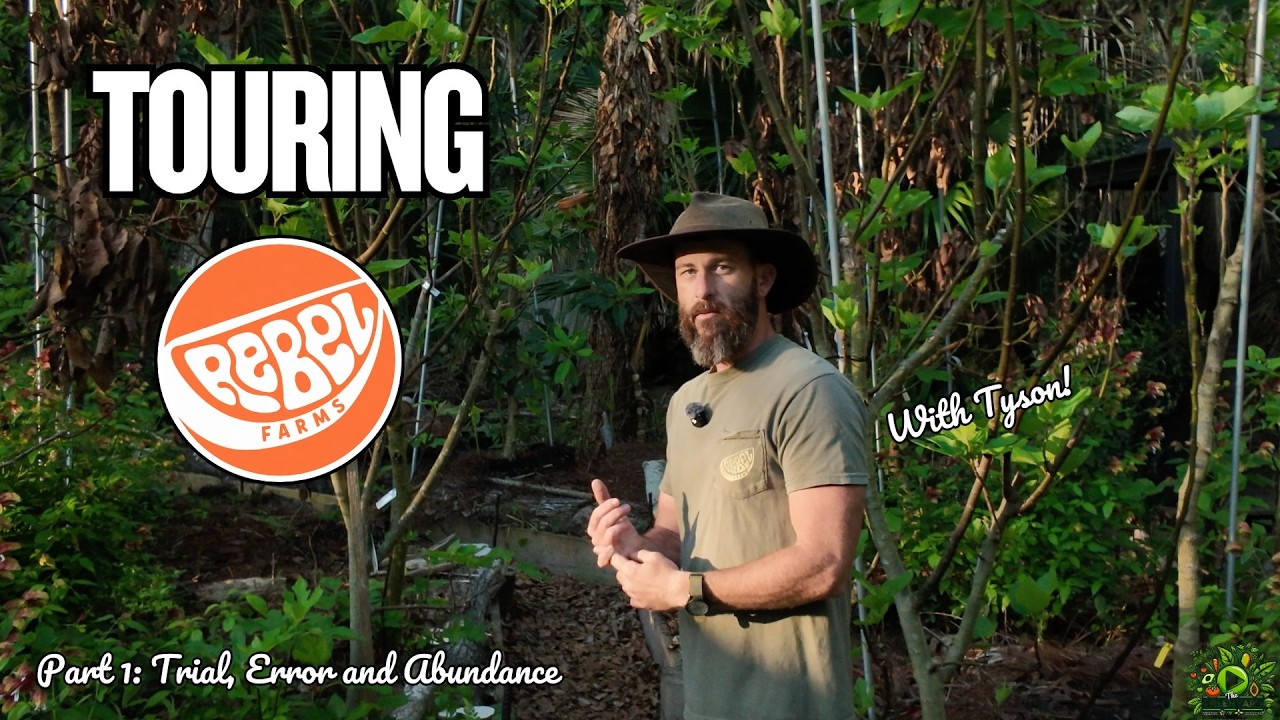 Rebel Farms experimental food forest in New Smyrna Beach, Florida