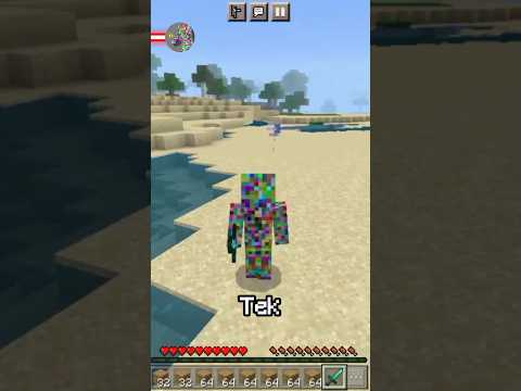 Insane Minecraft Trick: Get Pet Trident NOW! #short
