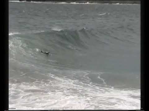 Kiama Wedge and Greenies