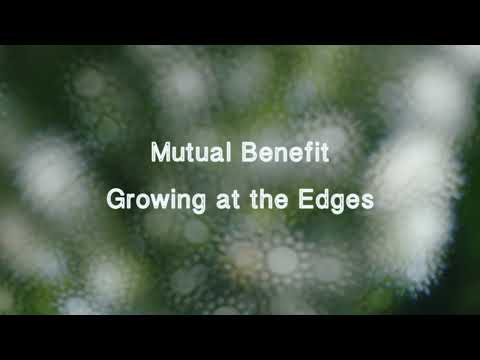Mutual Benefit - Growing at the Edges (with visualizer)