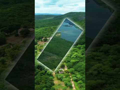 Fazenda em Belo Monte Alagoas #hectare #imoveisvenda #fazenda