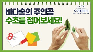 [우리집 바다] 바다숲의 주인공 수초를 접어보세요!