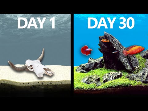 I Simulated a Lake for 30 Days