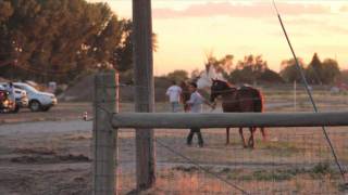 "Bankrupt on Selling" Modest Mouse - Lonesome Crowded West, 1997