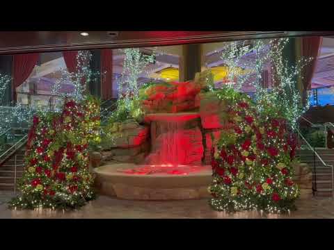 My stay at the gorgeous ! hotel Swiftwater ❣️