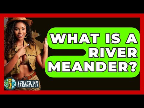 What Is A River Meander? - Ecosystem Essentials