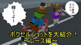 ボクセルショットをやってみた～レース編～【カップルでゲーム実況】