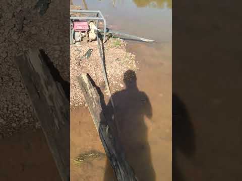 muita água em Bom Jesus do Araguaia