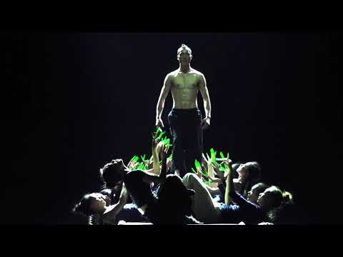 Yang Liping — Rite of Spring   Trailer