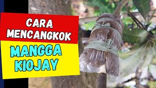 Download lagu How to Graft a Mango | Grafting a Kiojay Mango mp3 Download lagu How to Graft a Mango | Grafting a Kiojay Mango mp3
