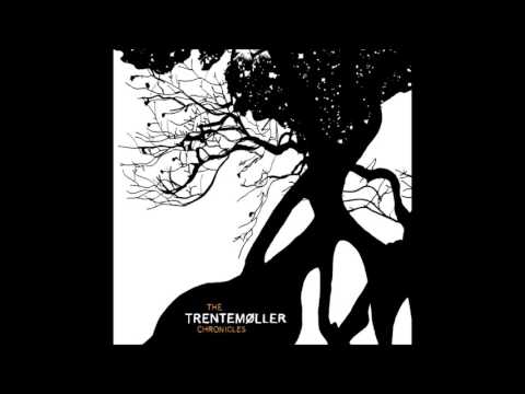 Schallwert - It's A Fine Day In The Forest (Trentemoller vs Opus 3)
