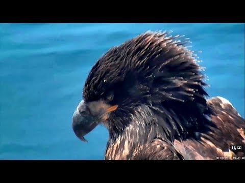 7-21-18 West End Season Tribute 2018 ❤️