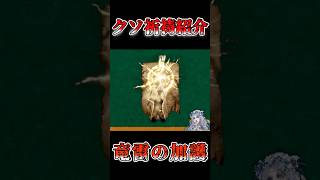 クソ祈祷紹介 竜雷の加護【エルデンリングナイトレイン】 #エルデンリングナイトレイン #エルデンリング #eldenring#クソ祈祷