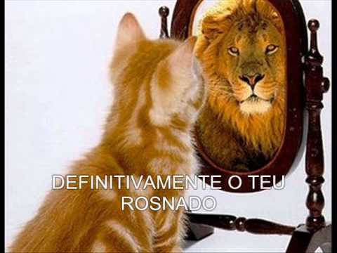 Samba em preto e branco_.wmv