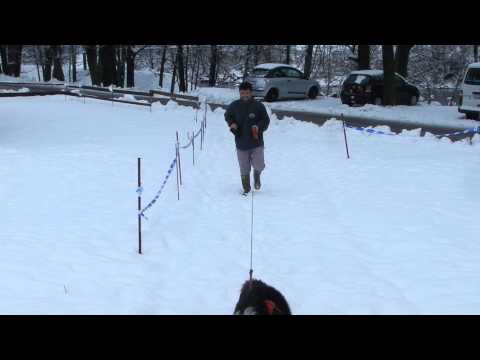 Maggia Dorf, Tessin - Winter - Ferienwohnung Maggia: www.valle-maggia.ch