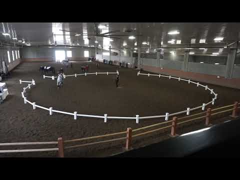 High Kick   Daniel Klotz Dedora   Compulsories R1   Canter B Men   MC competition 2019