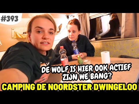 #393 ZIJN WE BANG VOOR DE WOLF? I RCN Camping de Noordster Dwingeloo