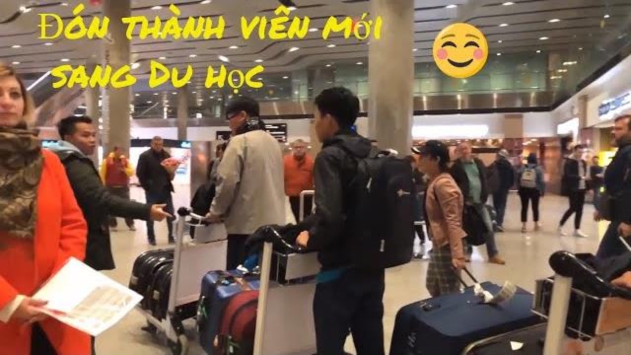 Đi đón du học sinh mới sang du học