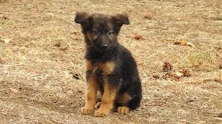 Mikel Erentxun-En el Sur