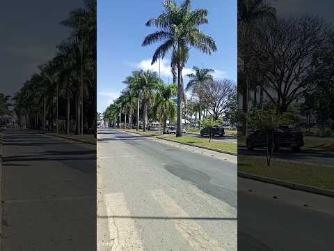 REGIÃO DA LAGOA GRANDE EM PATOS DE MINAS #vlog