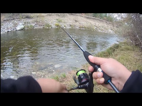 DEREDE KASNA AVI .   MUHTEŞEM  DOĞADA  KOCA AĞIZLI KEFAL AVI .   CHUB FİSHİNG