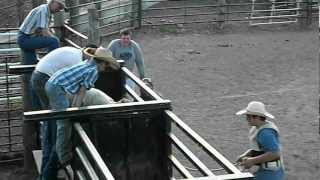 preview picture of video 'Practice Steer riding/Bull riding 6/6'