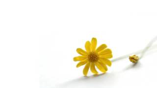 Download lagu 【datenkou】Tegami ~Aisuru Anata e~【歌ってみた】 mp3