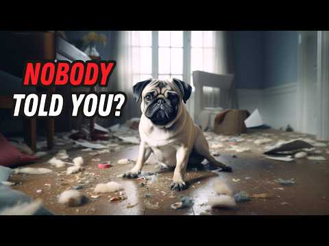 I wish someone told me these BEFORE getting a Pug