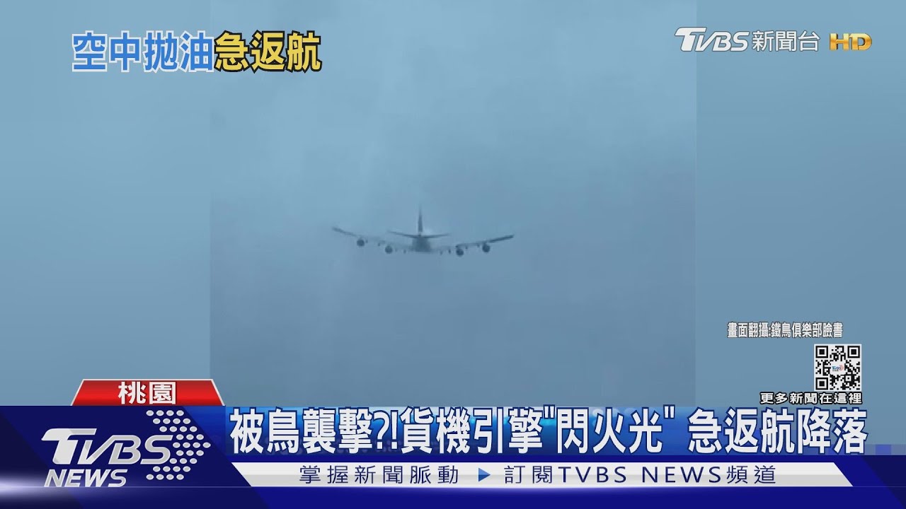 被鳥襲擊？！貨機引擎「閃火光」　急返航降落