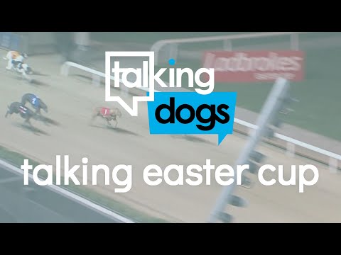 Talking Easter Cup Episode 1