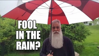 FOOL IN THE RAIN?