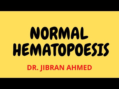 NORMAL HEMATOPOESIS II HEMATOLOGY II ROBBINS 10TH E II DrJIBRANAHMED