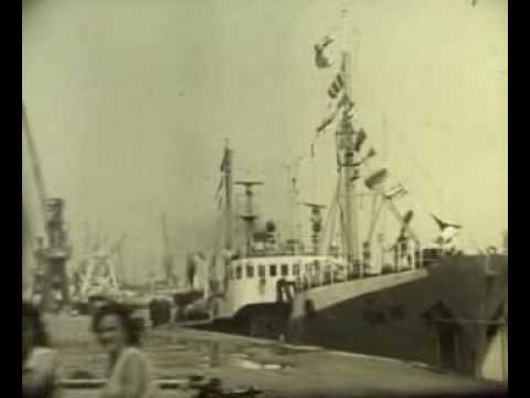 gryf x (nxt sentimental track) szczecin