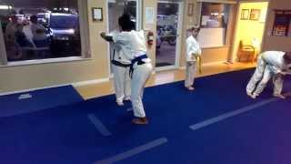 preview picture of video 'Jukido Jujitsu - Always Polishing - Martial Arts Palm Coast, FL'
