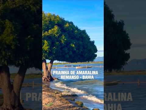 PRAINHA DE AMARALINA EM REMANSO COM O RIO SÃO FRANCISCO CHEIO • ABRIL 2026